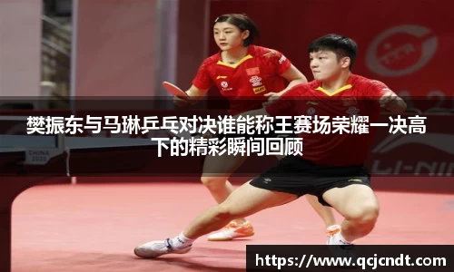 樊振东与马琳乒乓对决谁能称王赛场荣耀一决高下的精彩瞬间回顾